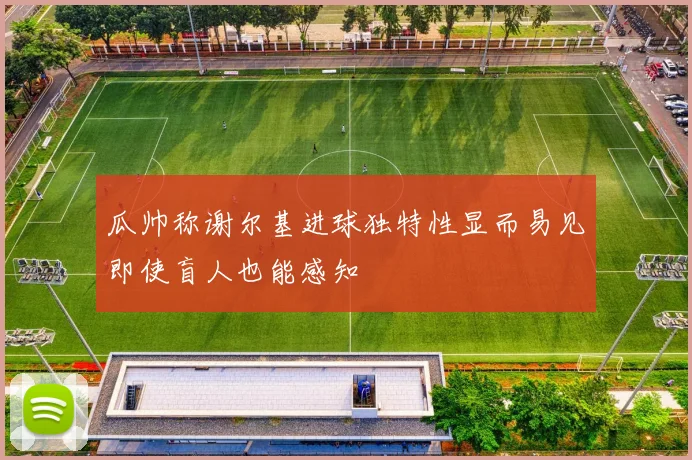 瓜帅称谢尔基进球独特性显而易见即使盲人也能感知