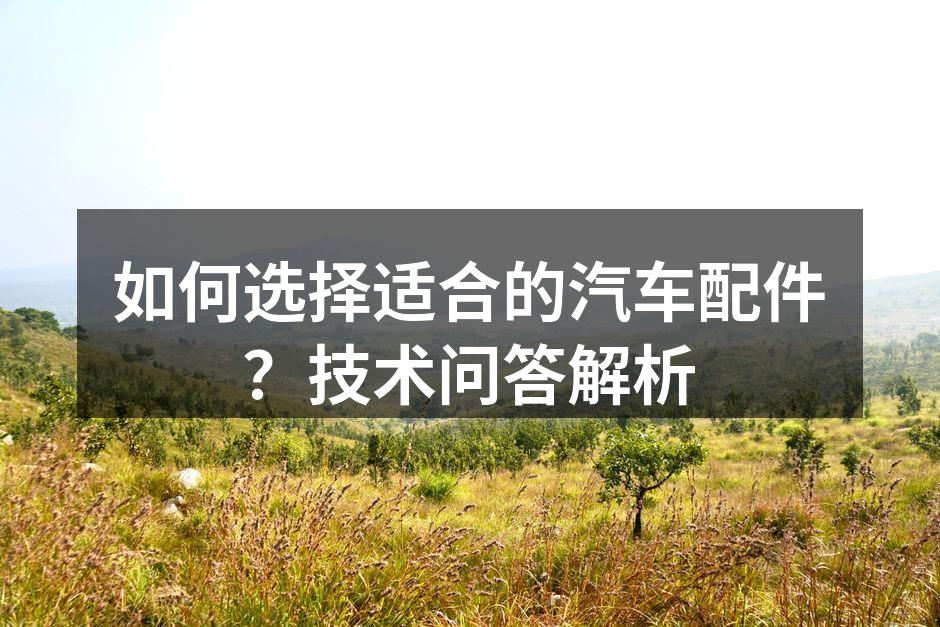 汽车配件选择指南
