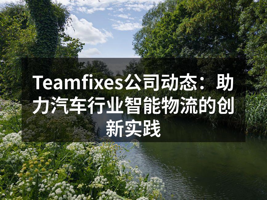 Teamfixes智能物流解决方案演示