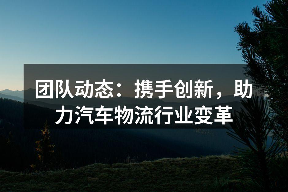 团队精诚合作，推动物流创新