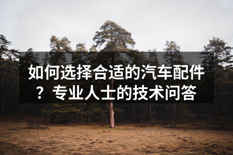 汽车配件的多样选择