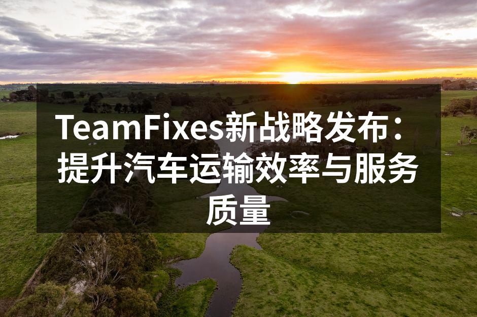 TeamFixes新战略发布会现场