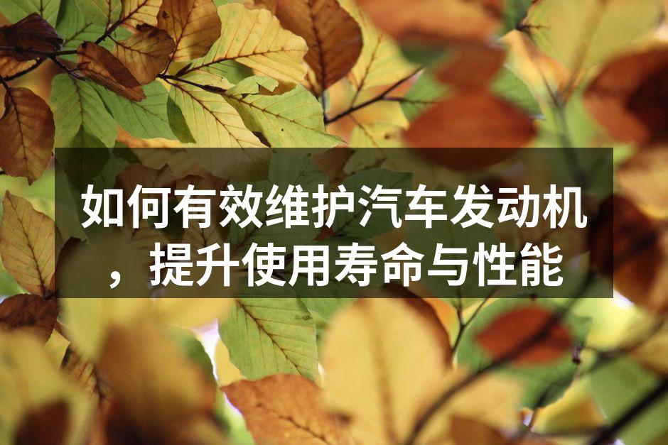 发动机定期检查